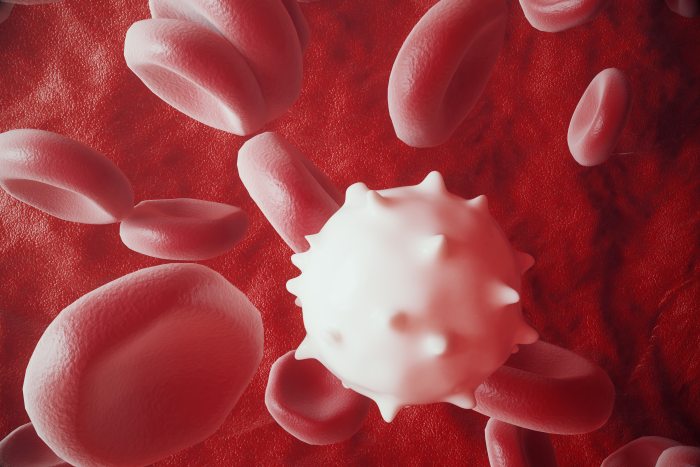 Elevated White Blood Cell Count – Understanding the Norms and Associated Illnesses